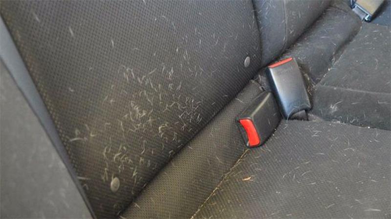 Come Colorare I Peli Del Pube