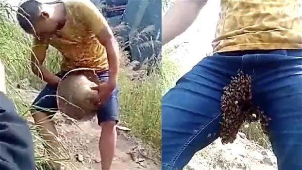 Un uomo si fa pungere da centinaia di api nella zona inguinale. Il motivo è davvero assurdo!