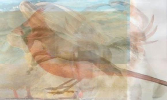 Il primo animale che vedi ti dirà qualcosa su chi sei realmente