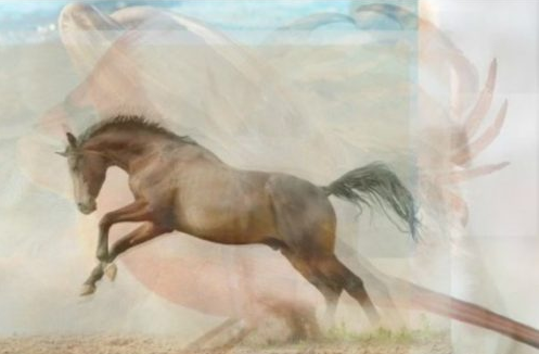 Il primo animale che vedi ti dirà qualcosa su chi sei realmente