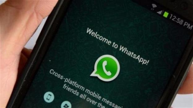 WhatsApp: novità per GIF, stickers, risposte rapide. Test sul Recall