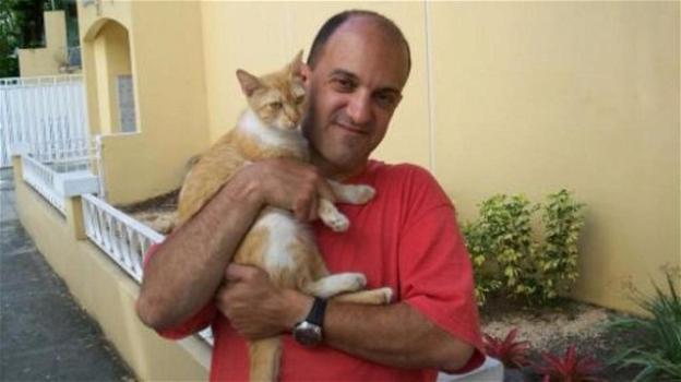 La missione del signor Venezio: salvare 230 gatti in difficoltà
