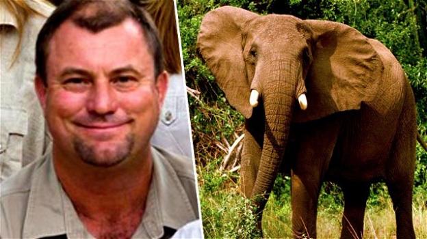 Spara ad un elefante uccidendolo, l’animale cade e lo schiaccia