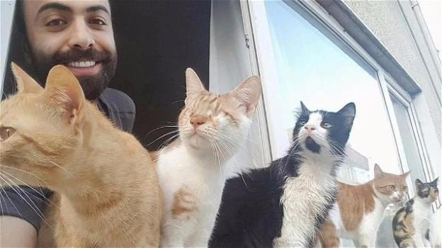 Un pianista salva nove gatti che assistono ai suoi spettacoli