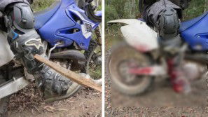 Gli si conficca un pezzo di legno nella gamba. Ecco il momento in cui l’amico glielo tira via