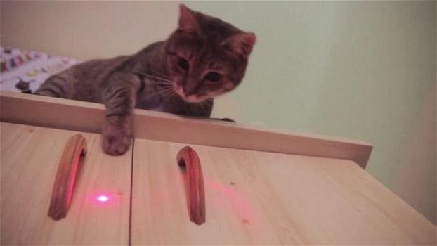 Felik, ecco il puntatore laser per i nostri amici a quattro zampe