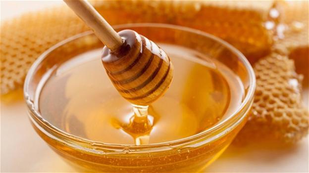 Il miele depura l’organismo e dona energia preziosa al nostro corpo