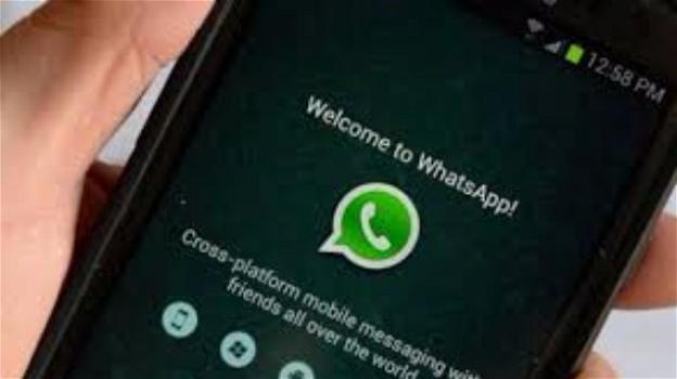 WhatsApp: in arrivo nuove funzioni per iOS, e le Storie nel web based