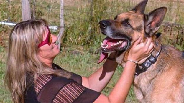 Cane salvò la sua famiglia dai ladri, è stato soppresso