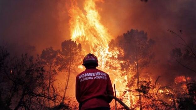 Incendio in Portogallo, nuovo bilancio: 62 morti e 59 feriti