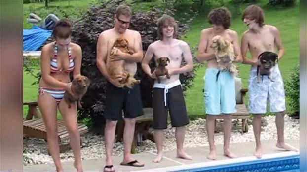 Questi 5 cagnolini partecipano ad una gara di nuoto. Quello a sinistra è davvero un fenomeno!
