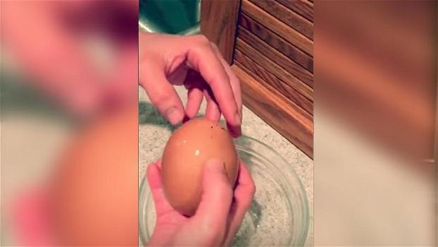 Trova un uovo gigante nel pollaio. Poi decide di aprirlo e resta basita di fronte al suo contenuto