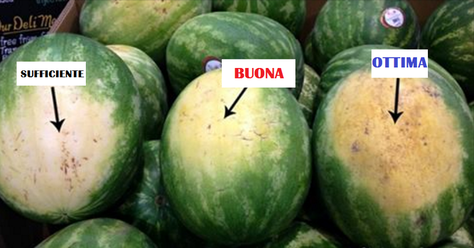 Come scegliere al meglio un’anguria? Ecco 4 consigli che vi saranno utilissimi quest’estate
