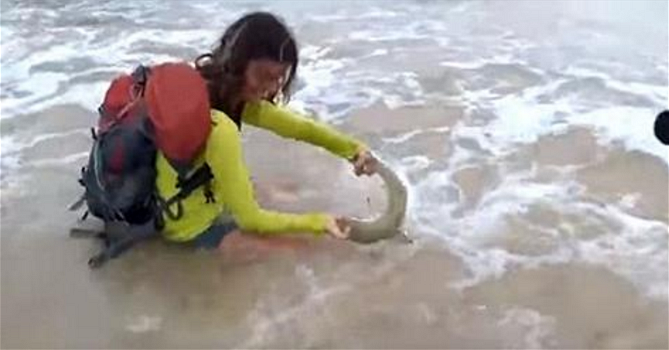 Venne morsa da uno squalo durante un selfie: multata per crudeltà sugli animali