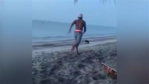 Un uomo cerca di cacciare via dei cani dalla spiaggia. Poco dopo riceve la lezione che merita!