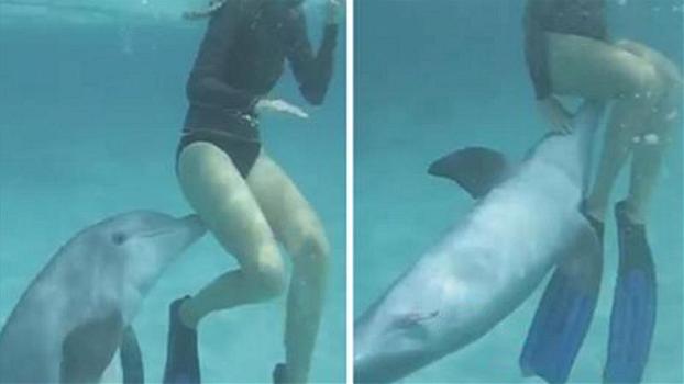 Delfino “in calore” si avvicina ad una snorkeler. Quello che accade è del tutto inaspettato!