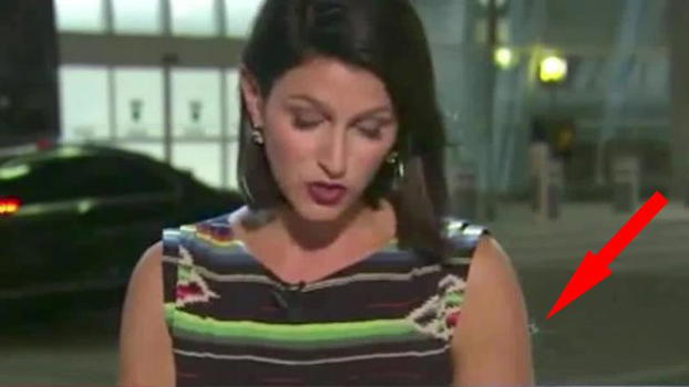 Un ragno cammina sul braccio della giornalista. La reazione della donna sorprende tutti!