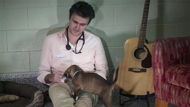 Questo ragazzo ama gli animali e la musica: è un veterinario unico nel suo genere!