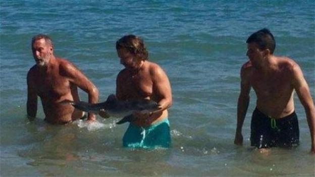 Carezze e selfie dei bagnanti: baby delfino muore di paura