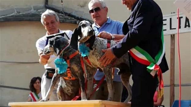 Il Premio Fedeltà del cane 2017 va a tre segugi francesi