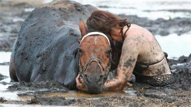 La donna si siede nel fango con il suo cavallo in agonia. Poco dopo, però, arriva un aiuto inaspettato