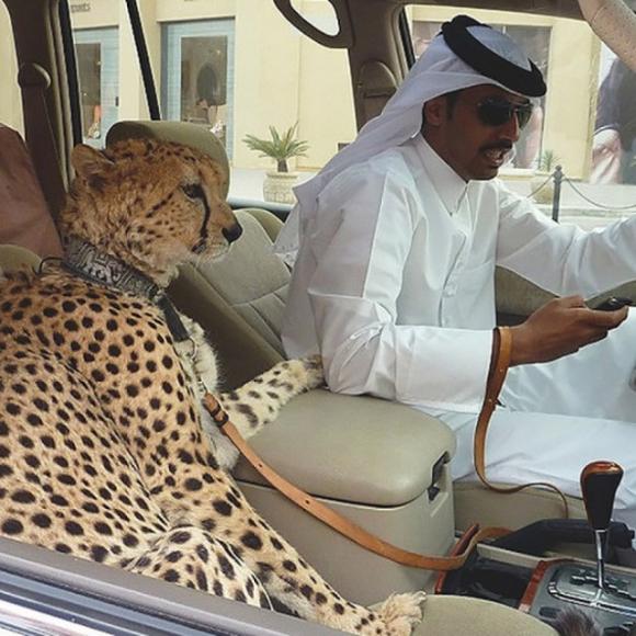 Alcuni eccessi che potete trovare solo a Dubai