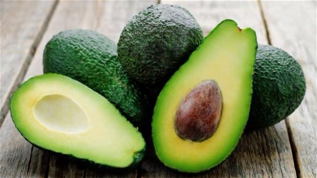 L’avocado è un frutto giunto sulle nostre tavole direttamente dalla preistoria