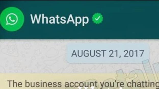 Nuovità su WhatsApp: arriva la spunta verde antitruffa sul nuovo servizio business