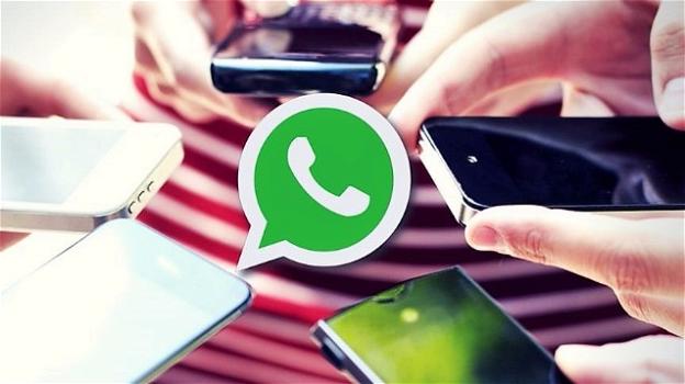 WhatsApp ci permette di sapere quanto spazio occupano le chat, e di far pulizia