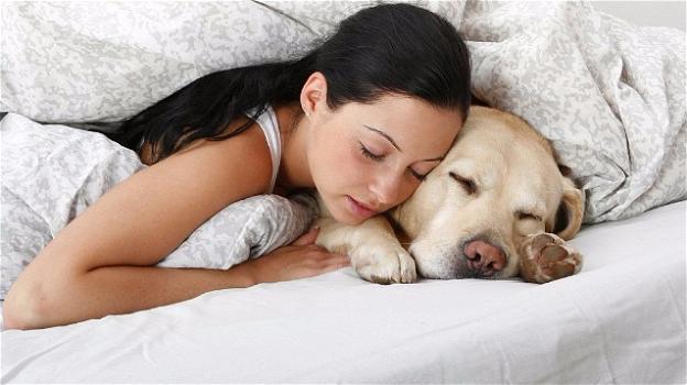 La scienza lo conferma: dormire con il cane fa riposare meglio