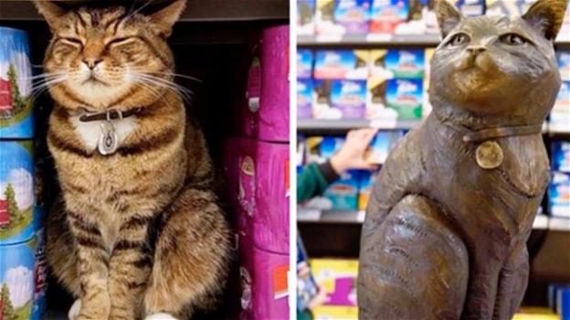 Una statua commemora un gatto che viveva in un supermercato