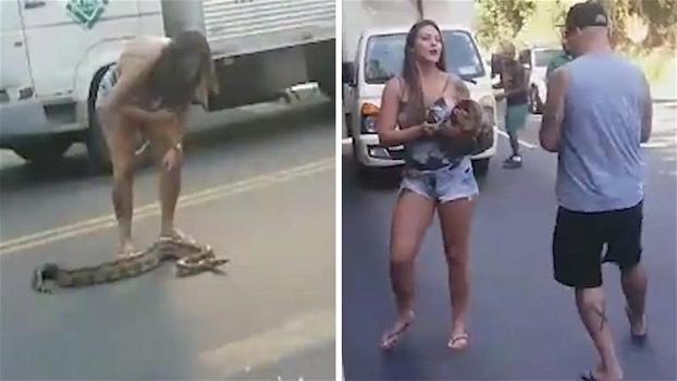 Una donna salva un grosso serpente dalla strada. Il suo coraggio è davvero invidiabile!