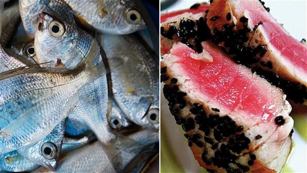 I pesci che non dovreste mai mangiare
