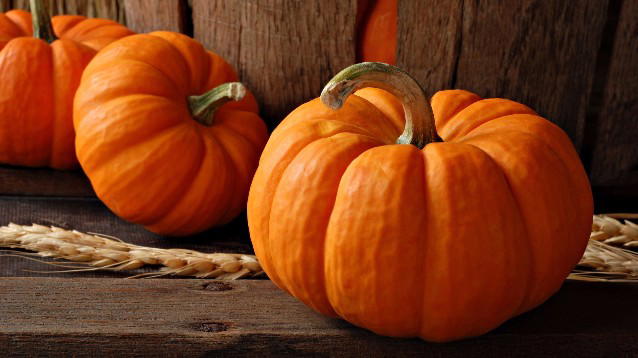I benefici della zucca per il nostro organismo