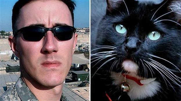 Un ex soldato tenta il suicidio, ma un gatto gli salva la vita