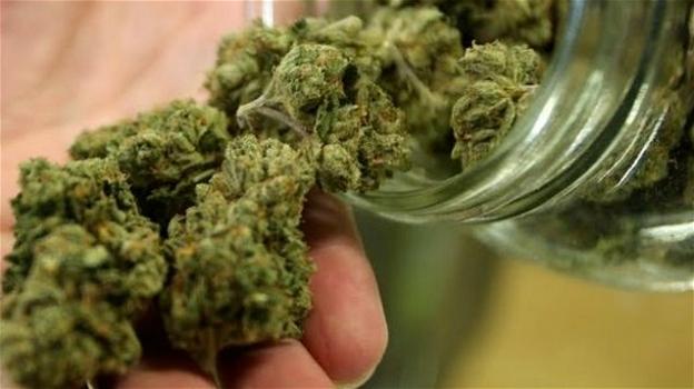 A Brescia è possibile acquistare legalmente la marijuana