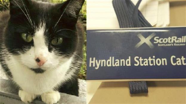 Il gatto della stazione di Glasgow diventa protagonista di un calendario