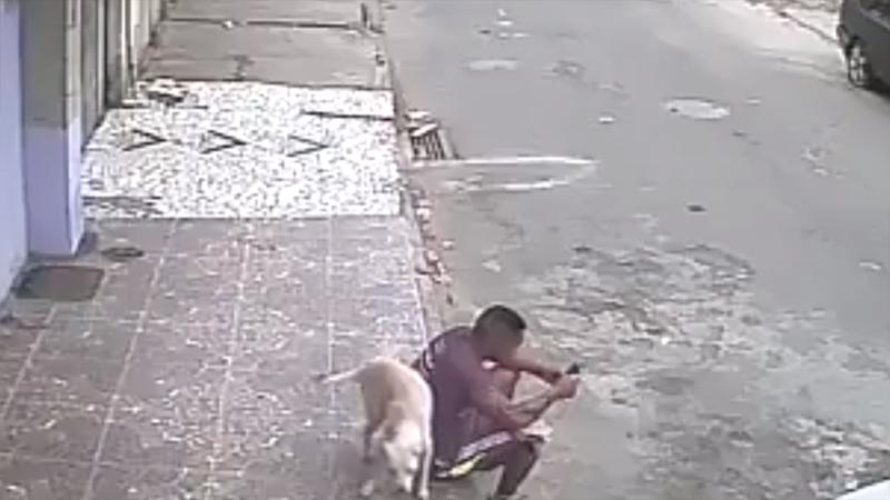 Un cane randagio urina sulla sua schiena. La reazione del ragazzo è davvero assurda