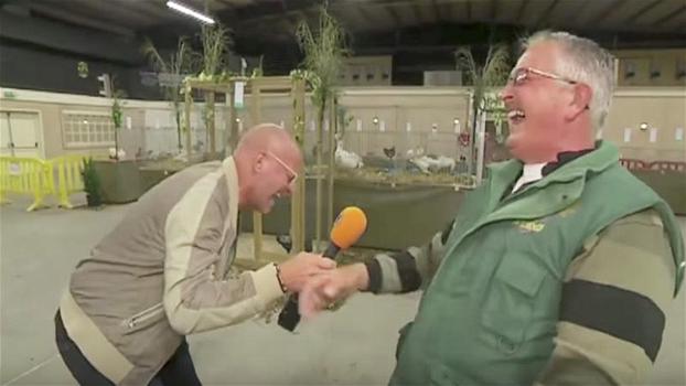 Un giornalista intervista un allevatore. Quando sente la sua risata “a gallina” scoppia a ridere anche lui!