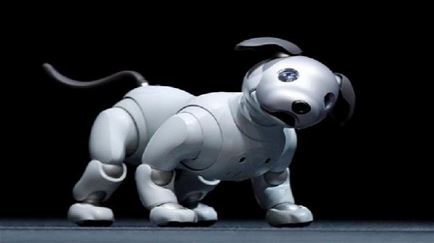 Dopo oltre un decennio, Sony ci riprova: ecco Aibo, il nuovo cane robot intelligente