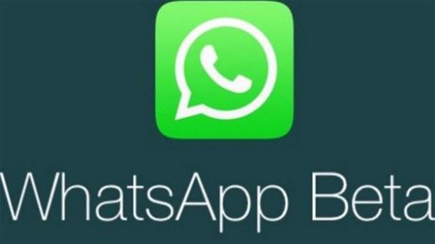 WhatsApp: rilasciate due nuove Beta colme di novità sia estetiche che funzionali