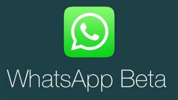 WhatsApp: nel canale Beta arriva la nuova icona del cuore, la copia delle didascalie, il raggiungi amico, ed altro