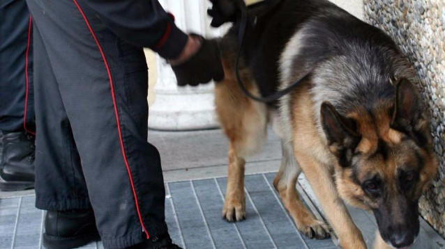 Controlli antidroga al Liceo Scientifico di Milazzo
