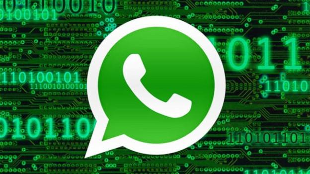 WhatsApp: implementate diverse semplificazioni, in lavorazione varie funzionalità per i gruppi
