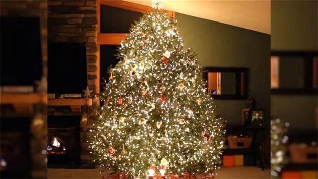 Decora l’albero di Natale con le luci. Quando parte la musica, l’effetto è davvero spettacolare!