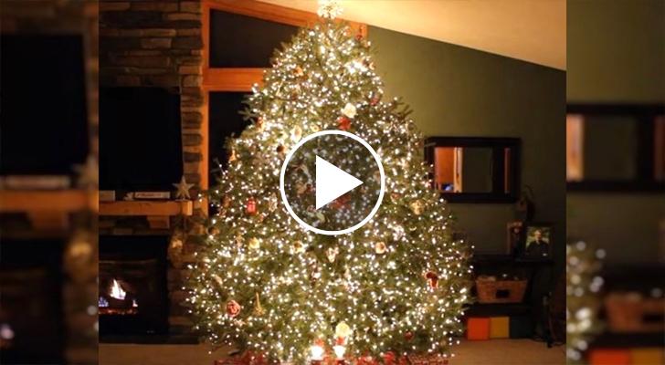 Immagini Natalizie Spettacolari.Decora L Albero Di Natale Con Le Luci Poi Parte La Musica L Effetto E Davvero Spettacolare