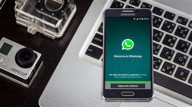 WhatsApp: avvistate le notifiche per menzioni, assieme a diverse novità "for Business"