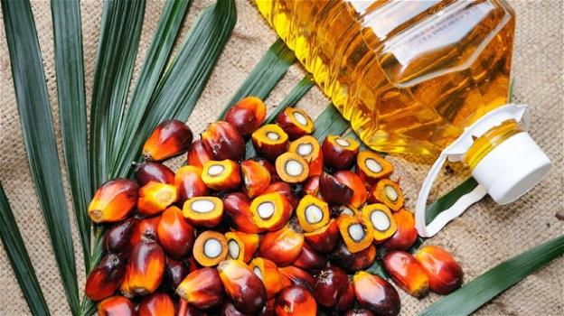 L’olio di palma scagionato dalle accuse: rischi minimi solo per i lattanti