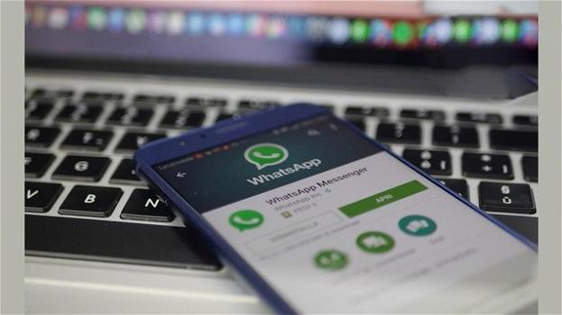 WhatsApp: arriva il supporto diretto ai video YouTube (iOS) e WhatsApp Business (Android)