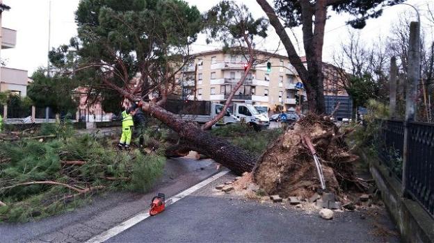 Il vento forte crea danni a Bologna e provincia